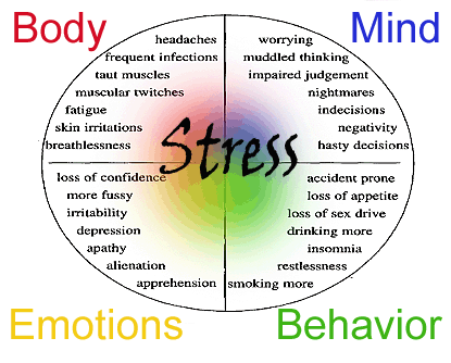 Stress Factors, Players - Dr Philip Young Seattle