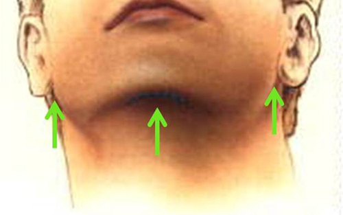 Below The Chine | neck shaping contouring seattle bellevue Below The Chine | neck shaping contouring seattle bellevue