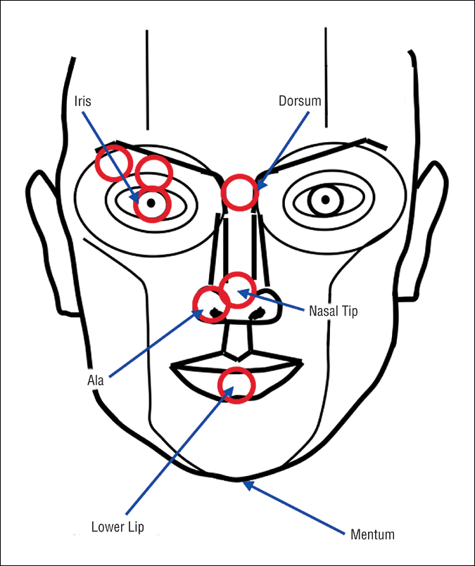 Facial Beauty Theory Figure 1 Facial Beauty Theory Figure 1