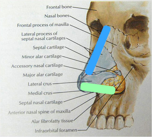 The Seattle Rhinoplasty Center - Medical Center in Seattle for Rhinoplasty  Surgery