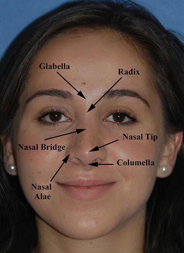 Meaning rhinoplasty Rhinoplasty for