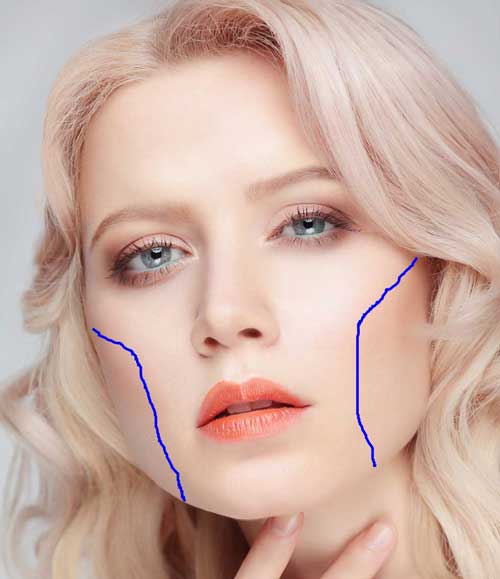 Female Face with Cheek Outlined